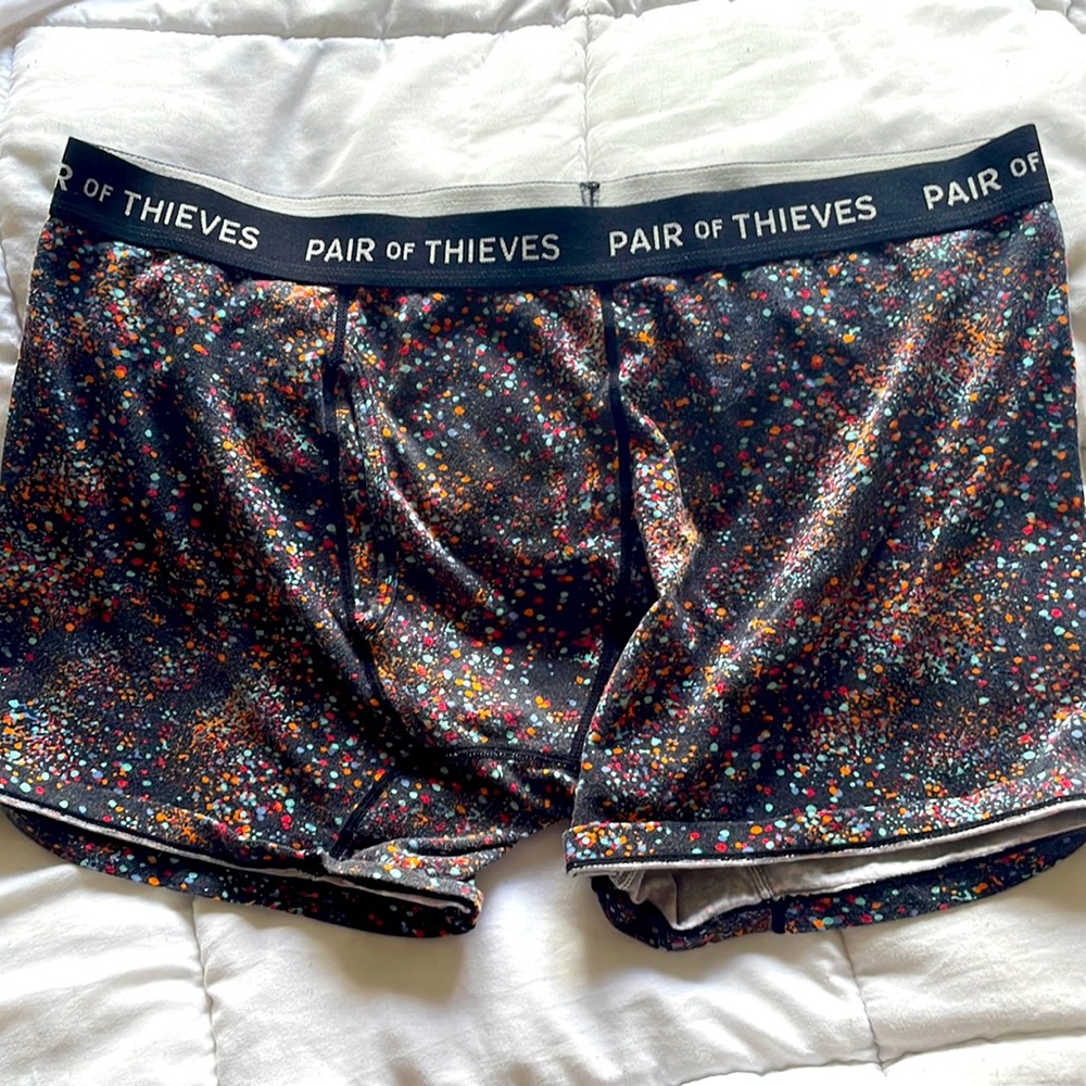 Mens Pair of Thieves Underwear